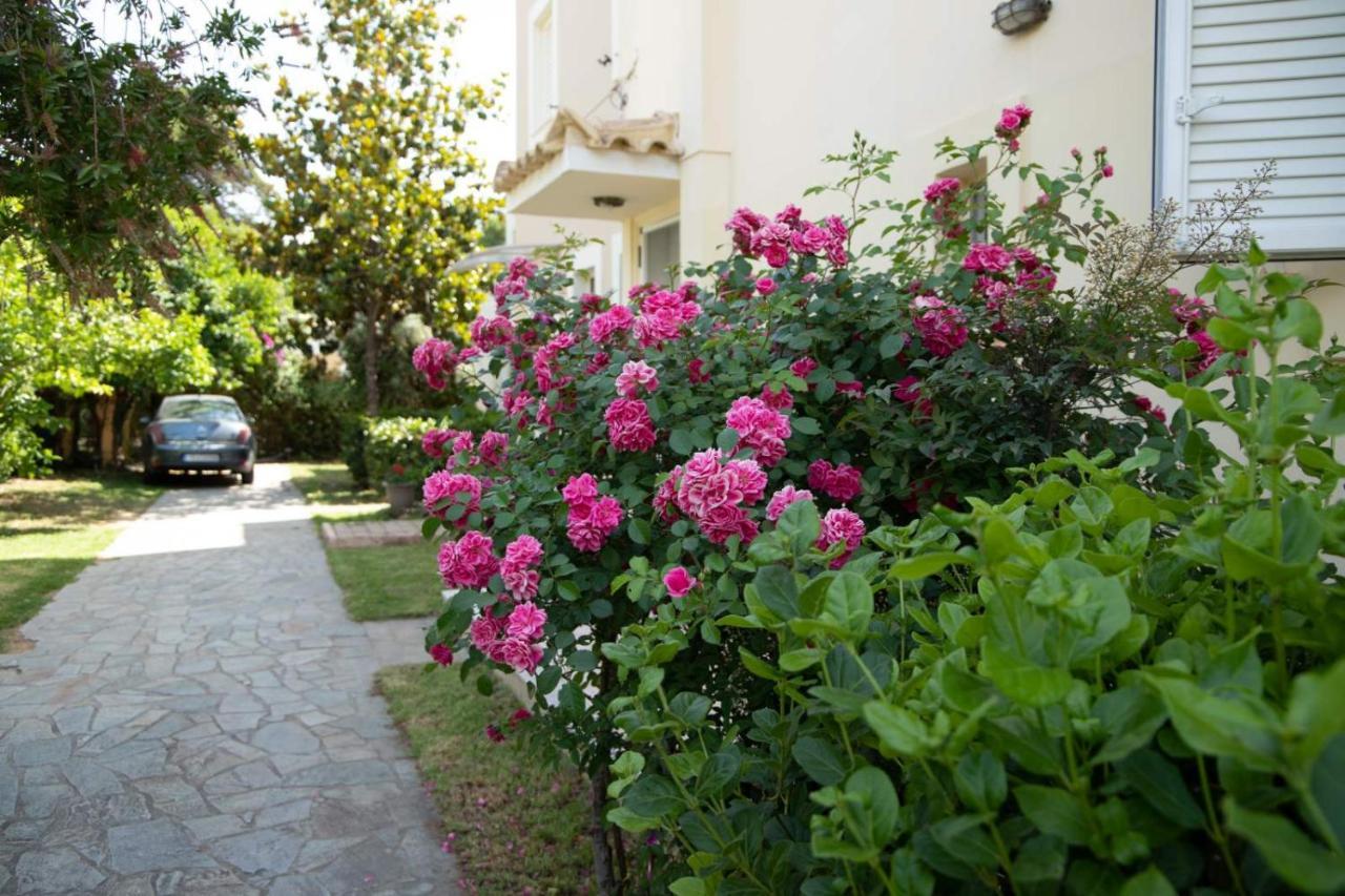 Palaiohora Avias Apartments Dış mekan fotoğraf